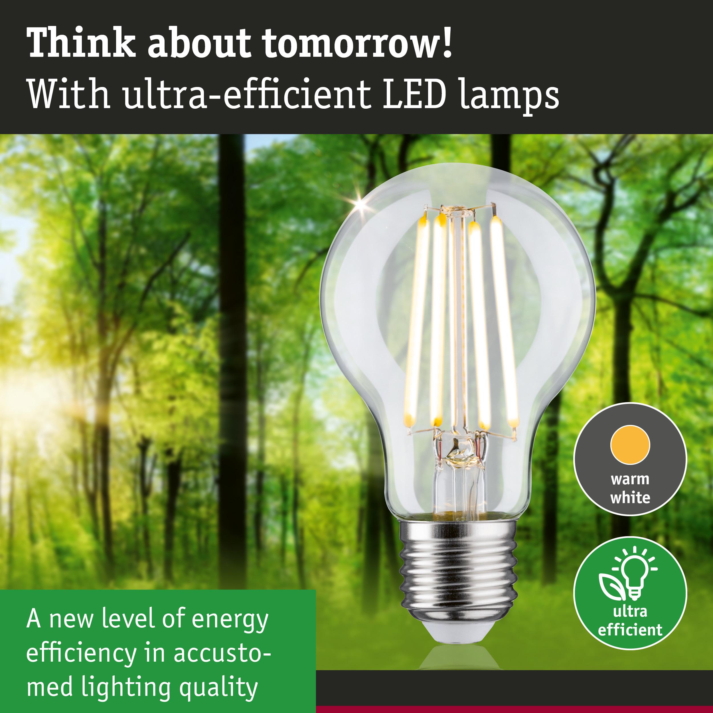Clear LED bulb with warm white light and ultra-efficient energy use against green forest background