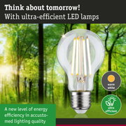 Clear LED bulb with warm white light and ultra-efficient technology against green forest background