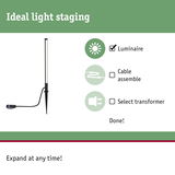 Black LED outdoor spike light for garden illumination, energy-efficient lighting solution