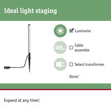 Black LED outdoor spike light for garden illumination, energy-efficient lighting solution