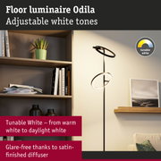 Odila black floor lamp with adjustable white tones for versatile living room lighting