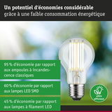 Ampoule LED à verre transparent et base métal, ultra efficace pour une faible consommation d'énergie