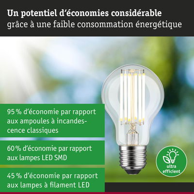 Ampoule LED à verre transparent et base métal, ultra efficace pour une faible consommation d'énergie