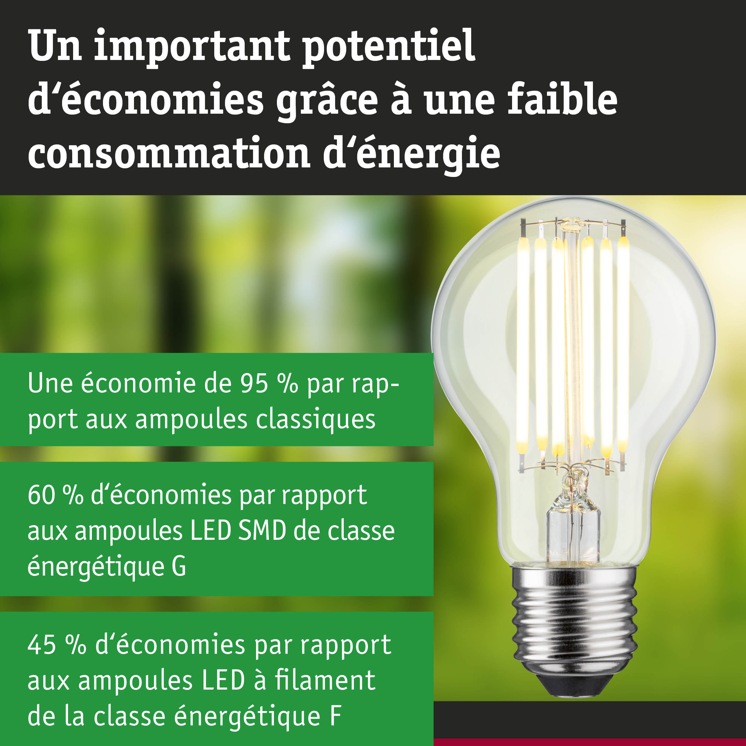 Ampoule LED économique avec verre transparent et base argentée pour un éclairage durable