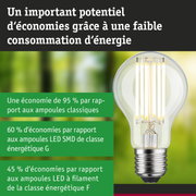 Ampoule LED économique avec verre transparent et base argentée pour un éclairage durable