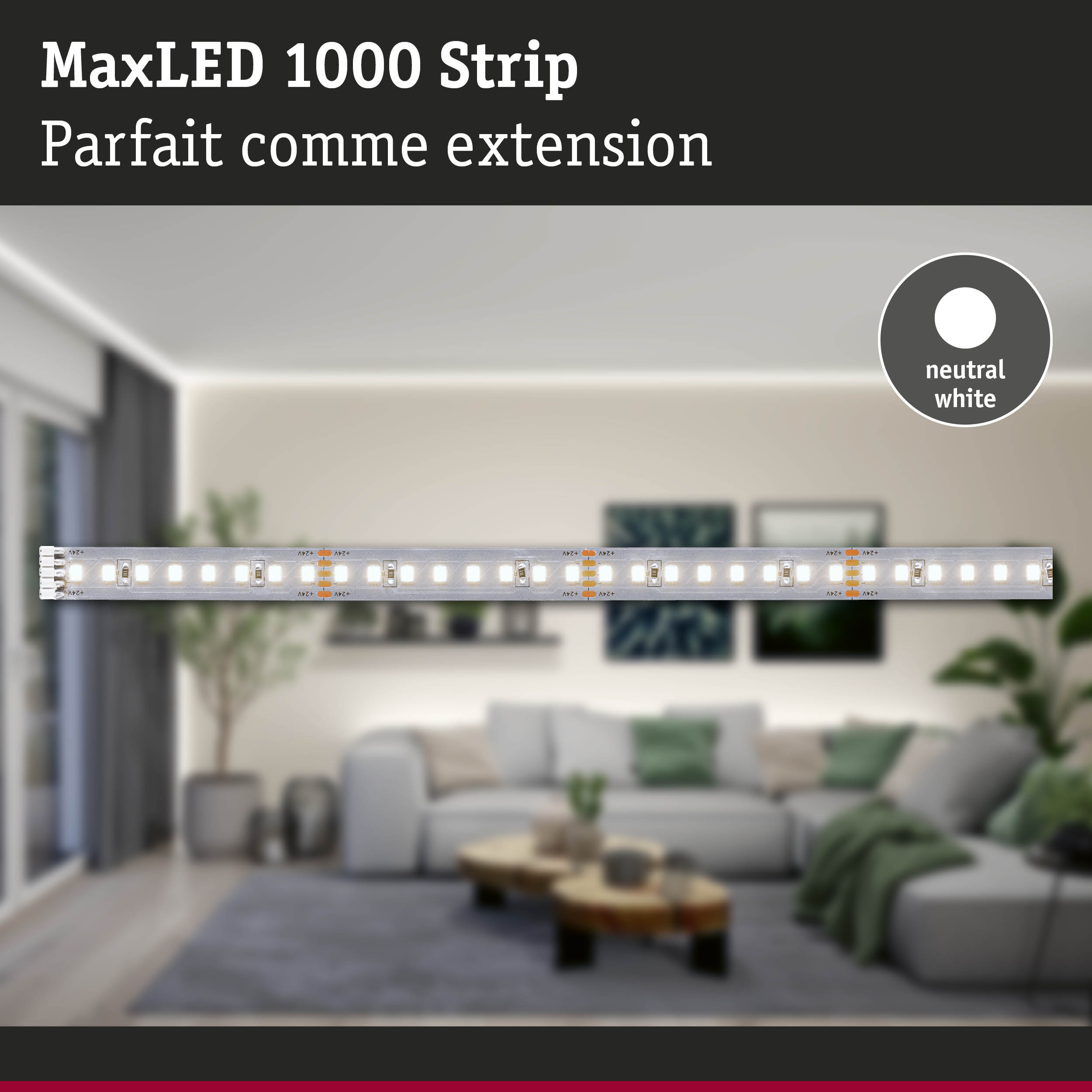 Bande LED MaxLED 1000 en blanc neutre, extension parfaite pour l'éclairage intérieur