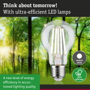 Clear LED light bulb with neutral white light and ultra-efficient energy technology against green forest background