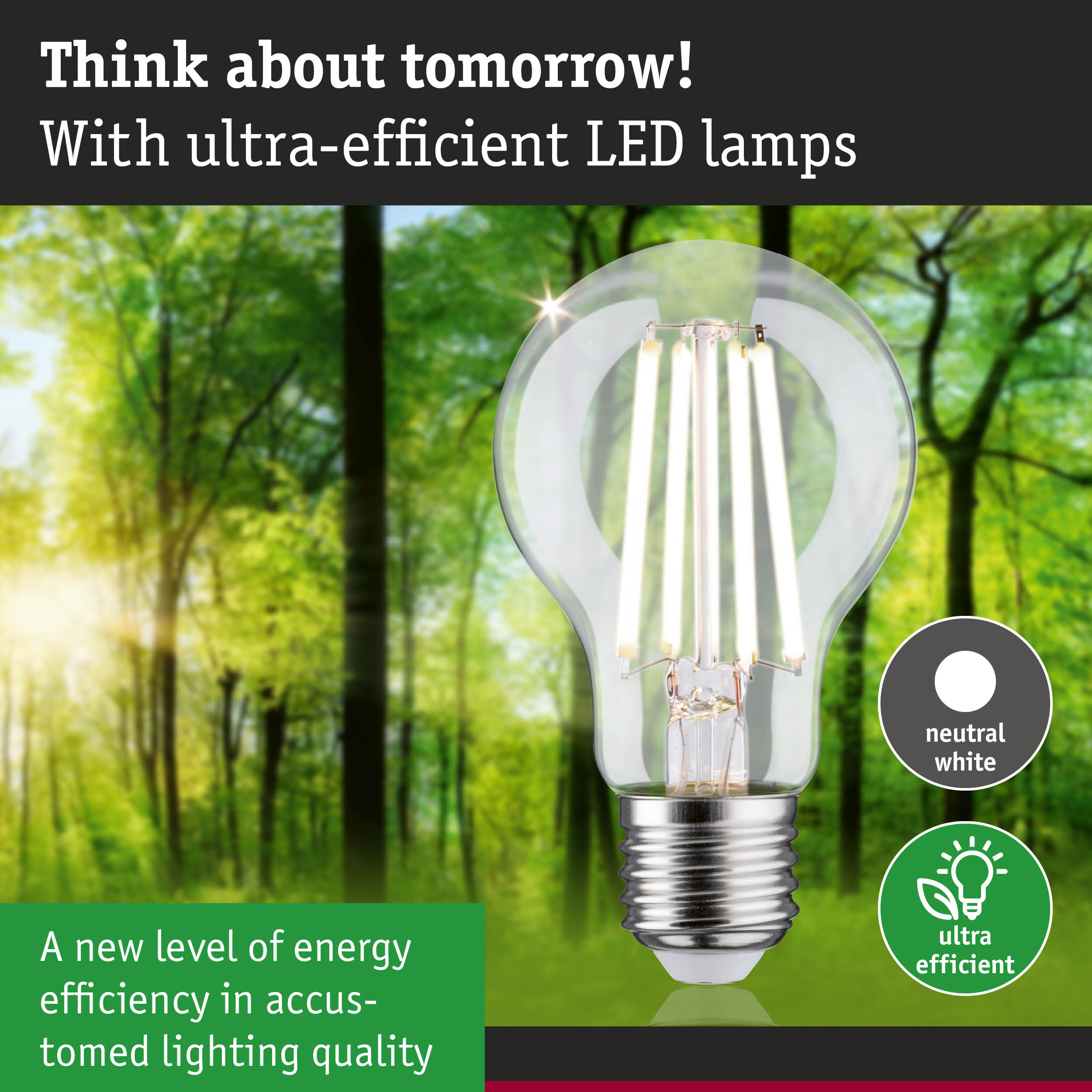 Clear LED light bulb with neutral white light and ultra-efficient energy technology against green forest background