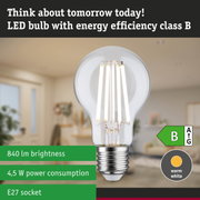 Clear LED light bulb with neutral white light and ultra-efficient energy technology against green forest background