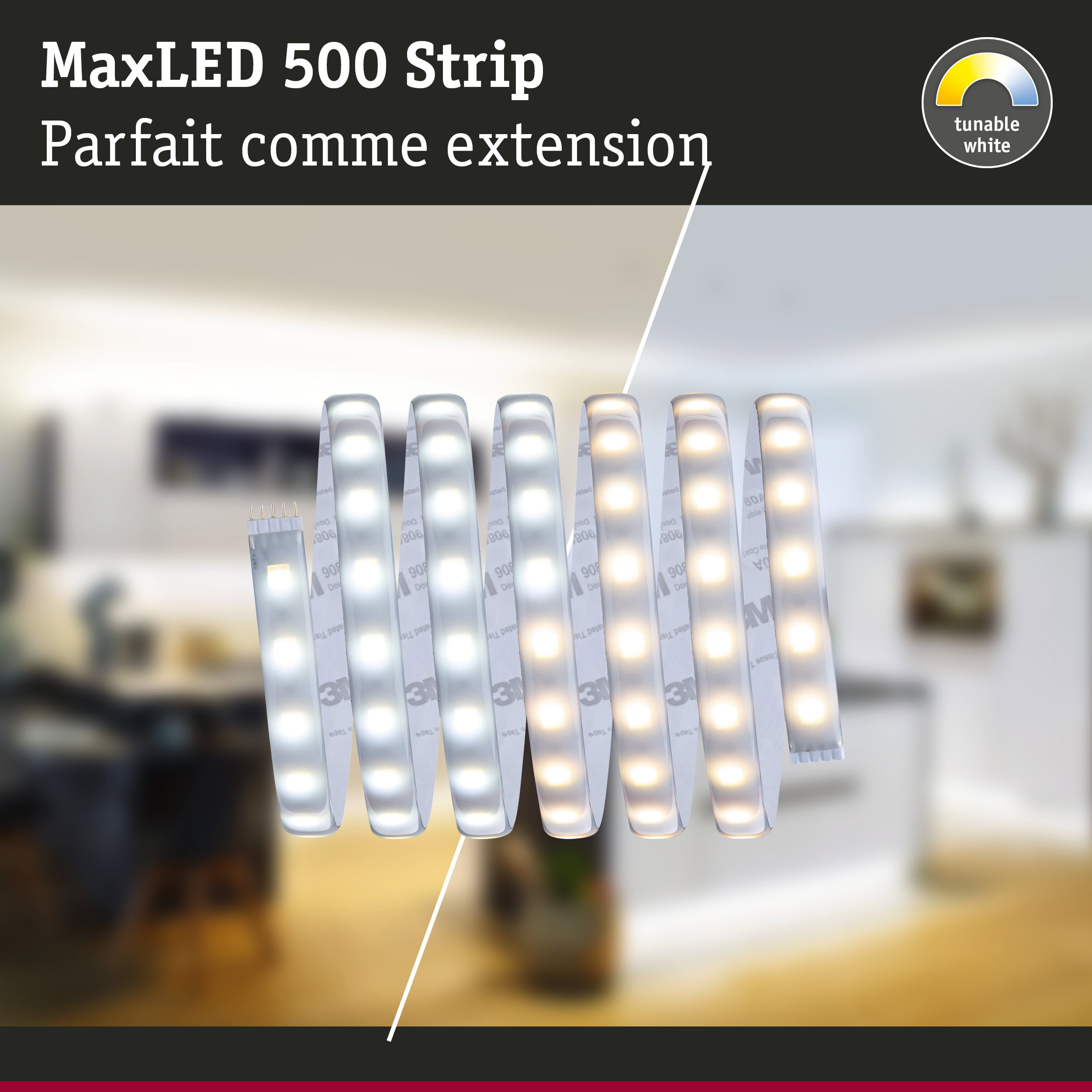 Bande LED MaxLED 500 avec blanc réglable, parfaite extension pour éclairage intérieur