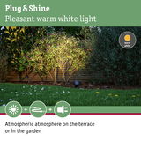 Outdoor spotlight with warm white light illuminating green bushes for atmospheric garden terrace lighting.
