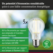 Ampoule LED à verre transparent avec filaments visibles, solution d'éclairage ultra efficace et économique