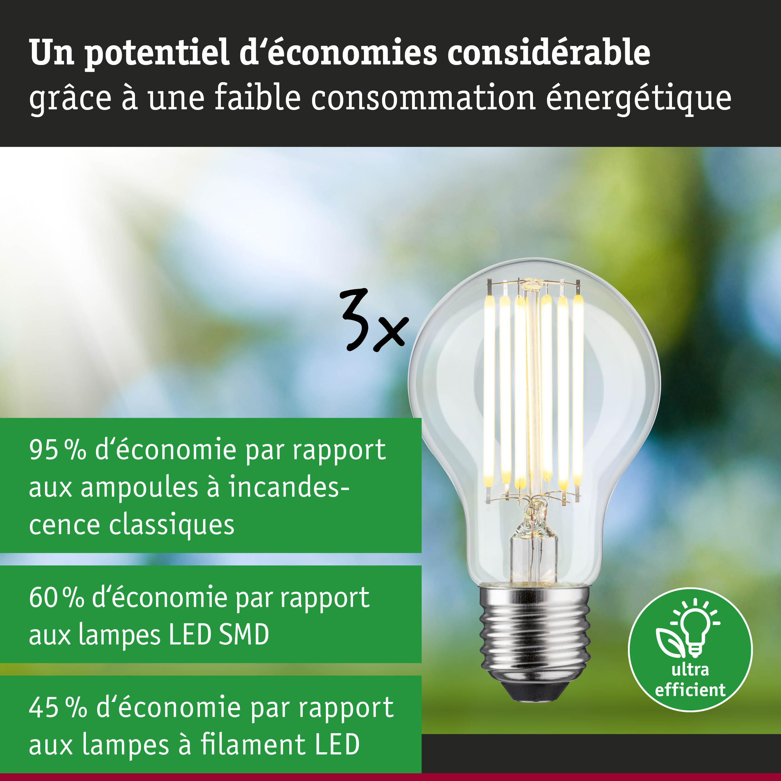 Ampoule LED à verre transparent avec filaments visibles, solution d'éclairage ultra efficace et économique