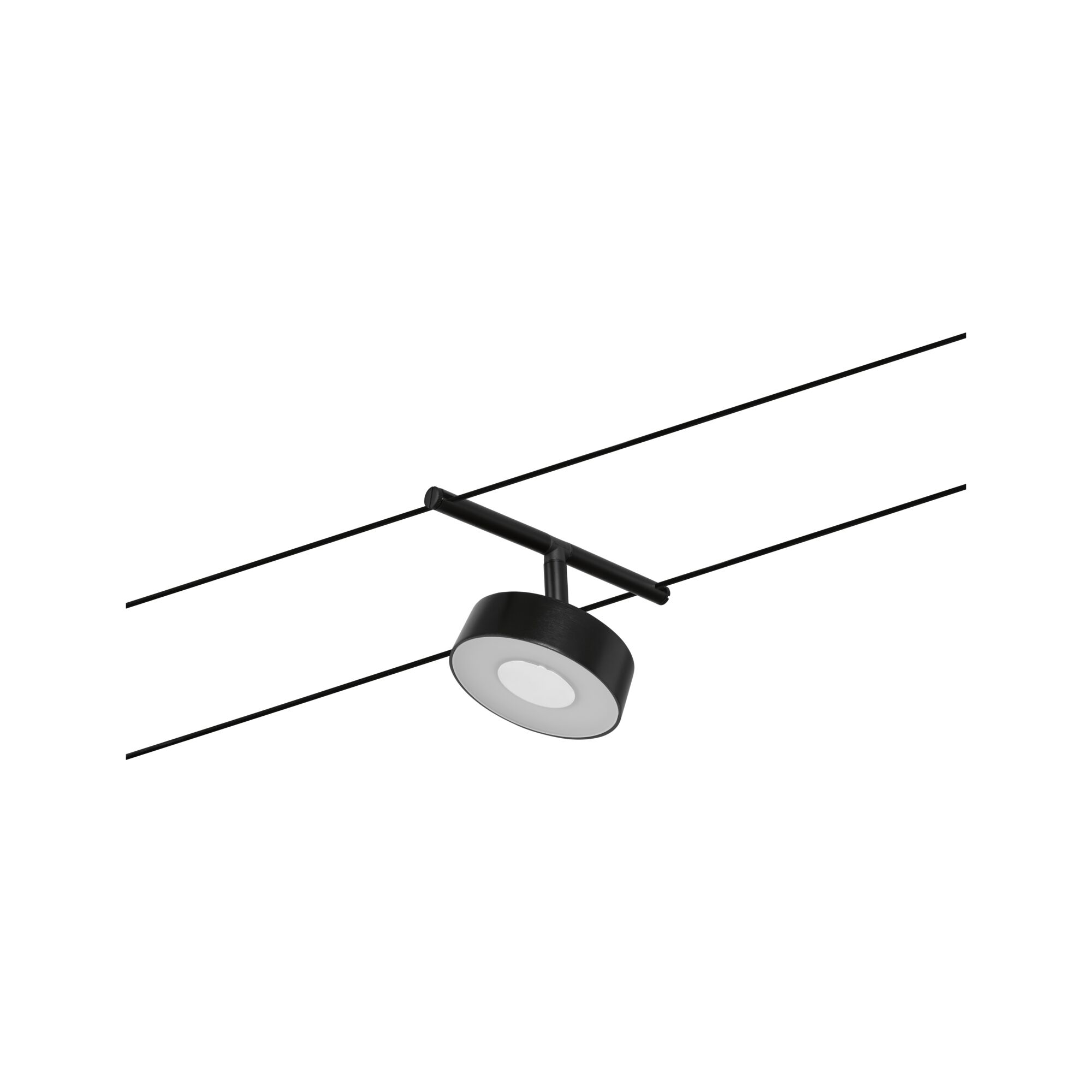 Spot LED noir sur câble avec design rond et diffuseur blanc pour systèmes d'éclairage modernes