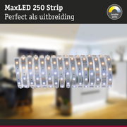 MaxLED 250 LED-strip met instelbaar wit licht voor flexibele verlichtingsuitbreiding