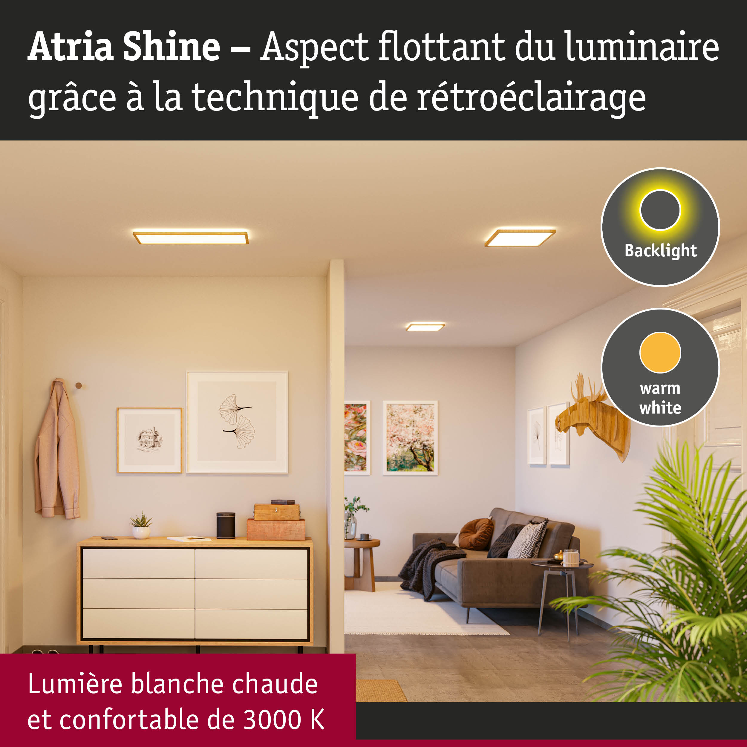 Paulmann Atria Shine LED Ceiling Panel - 420mm Round, 22W Dimmable, 4000K Daylight, Black With 3-Step Dim & Backlight