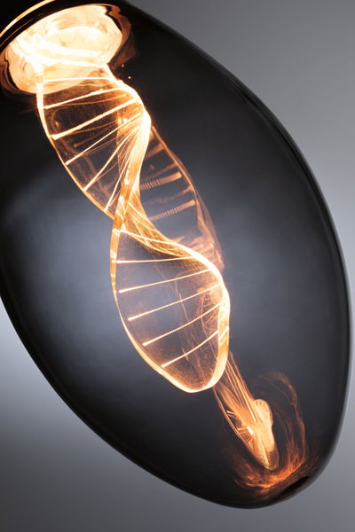 Close-up of LED bulb with spiral filament glowing warm light for modern lighting solutions