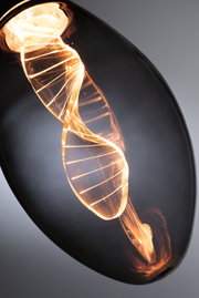 Close-up of LED bulb with spiral filament glowing warm light for modern lighting solutions
