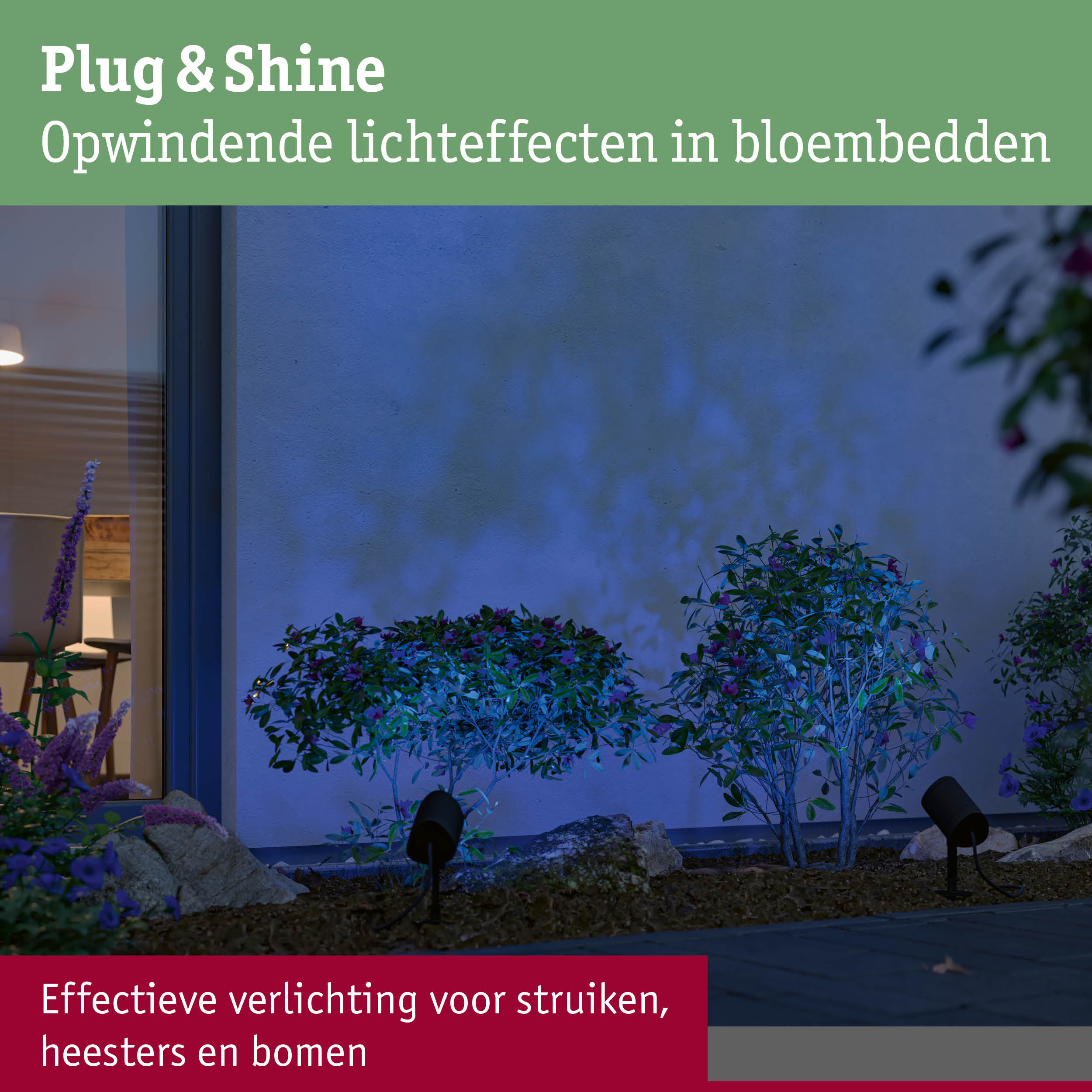 Plug & Shine buitenverlichting in blauw voor struiken en bomen, effectieve tuinverlichting