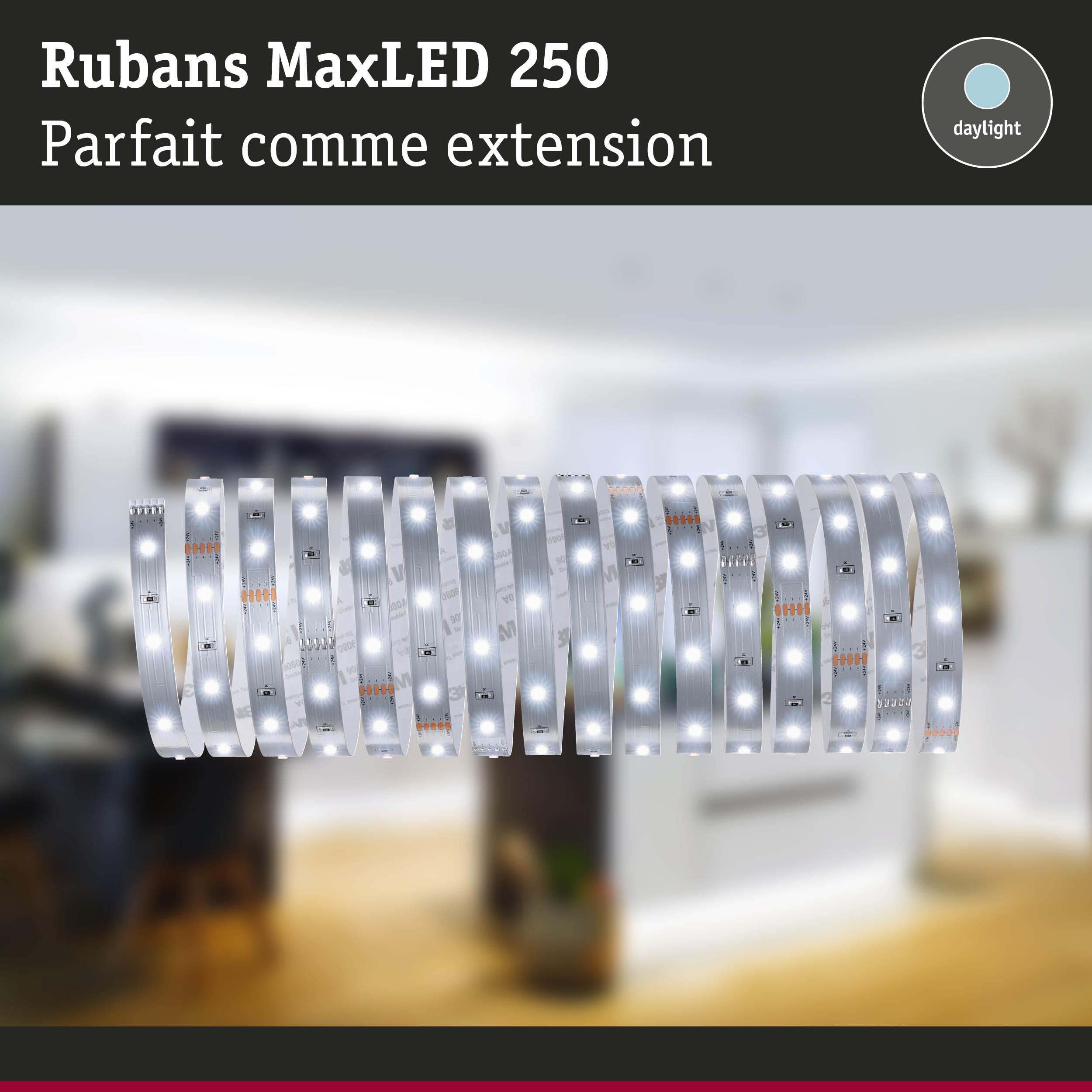 Bande LED MaxLED 250 en blanc lumière du jour, flexible, parfaite comme extension d’éclairage