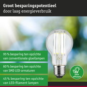 Energiezuinige LED-gloeilamp met helder glas en zilveren fitting voor duurzame verlichting