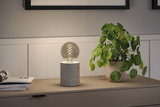 Moderne bordlampe med grå betonfod og dekorativ pære på skænk ved siden af grøn stueplante