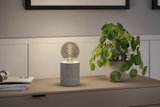 Moderne bordlampe med grå betonfod og dekorativ pære på skænk ved siden af grøn stueplante
