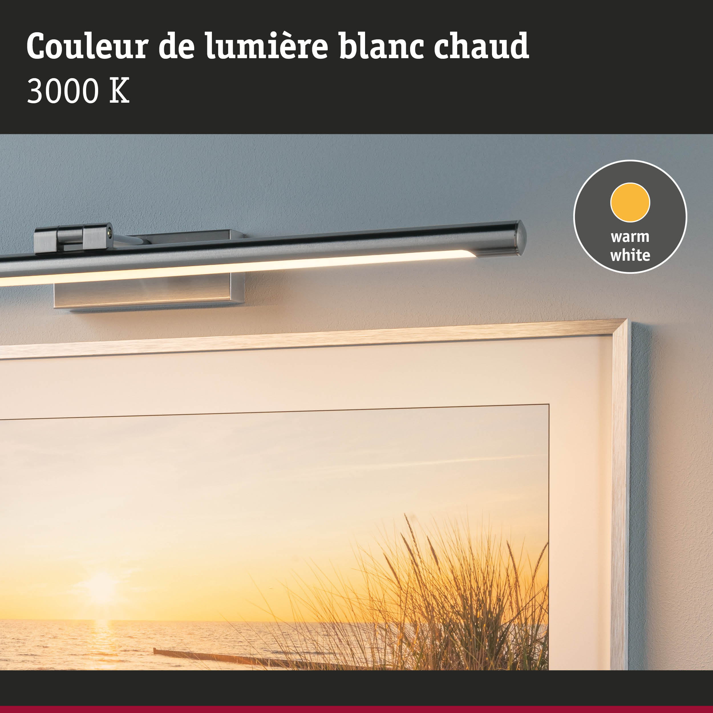 Applique murale LED moderne en métal argenté avec lumière blanc chaud 3000K pour intérieur