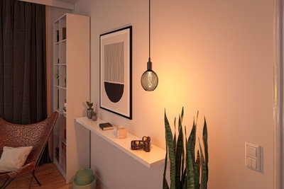 Moderne zwarte metalen hanglamp met warm licht in gezellige woonkamer met planten en wanddecoratie.