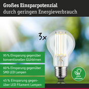 Energiesparlampe mit klarem Glas und sichtbaren LED-Filamenten, energieeffiziente LED-Glühbirne