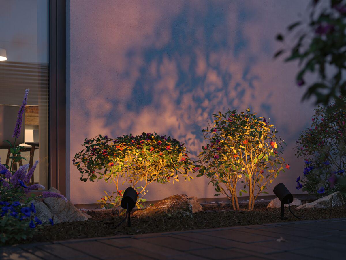 Black outdoor spotlights illuminate green shrubs with red flowers against house wall at dusk