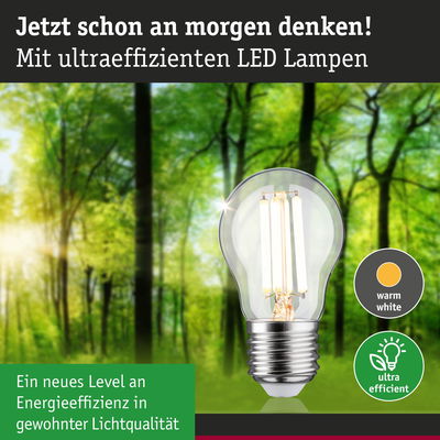 LED-Lampe mit warmweißem Licht und hoher Energieeffizienz vor grünem Waldhintergrund