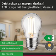 Energiesparende LED-Lampe mit warmweißem Licht und hoher Effizienz vor grünem Waldhintergrund