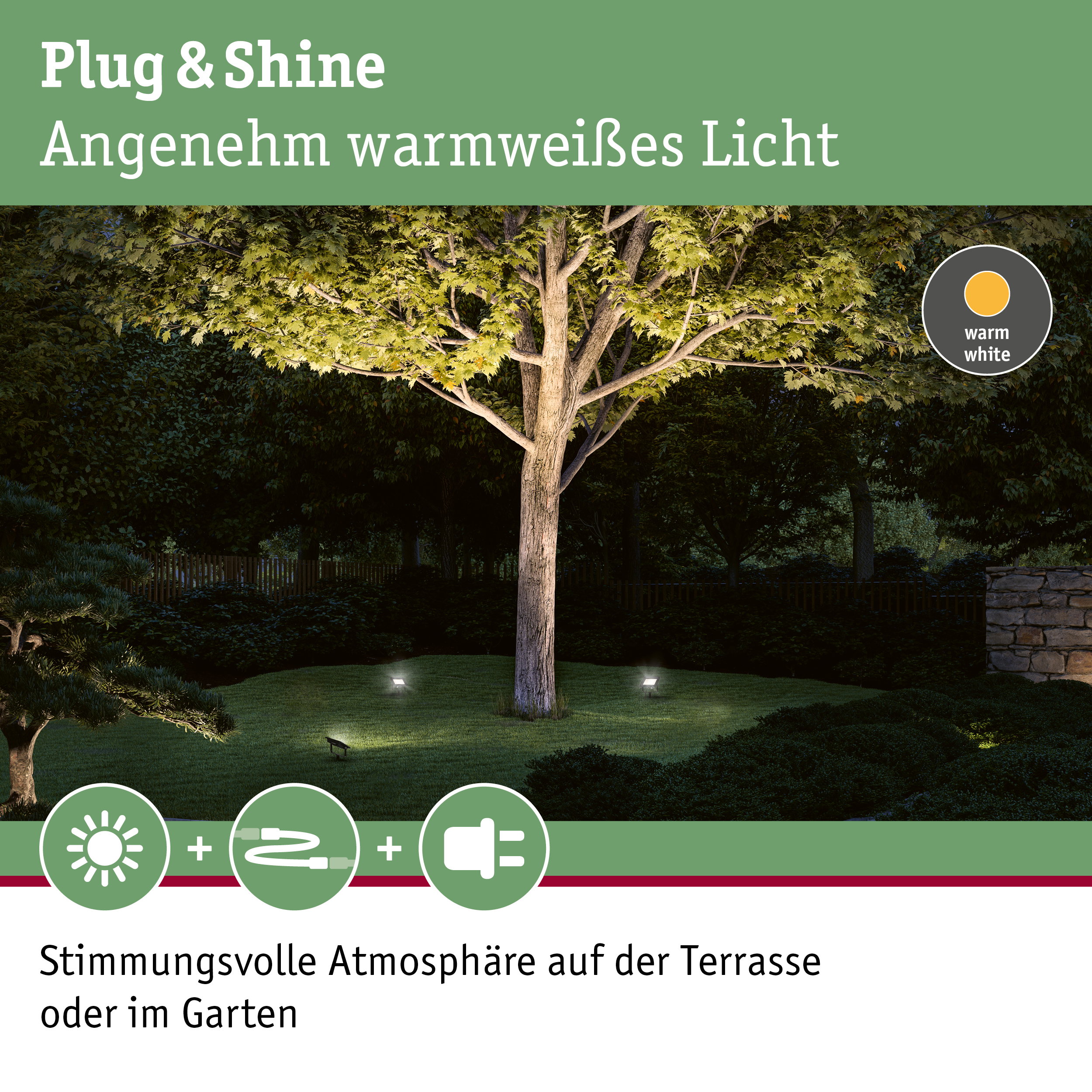 Warmweißes Plug & Shine Licht beleuchtet Baum und Garten für stimmungsvolle Außenbeleuchtung