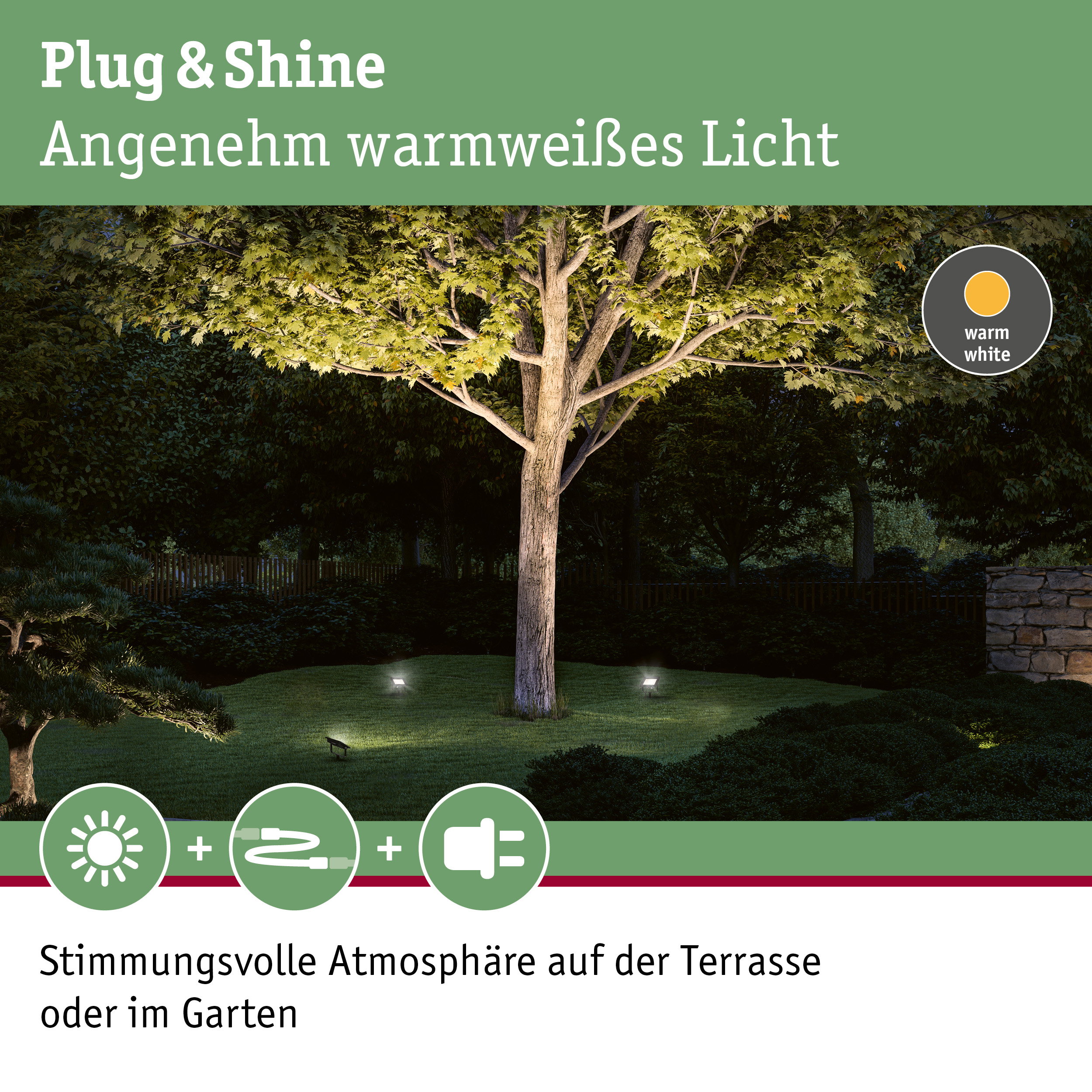 Warmweißes Plug & Shine Licht beleuchtet Baum und Garten für stimmungsvolle Außenbeleuchtung