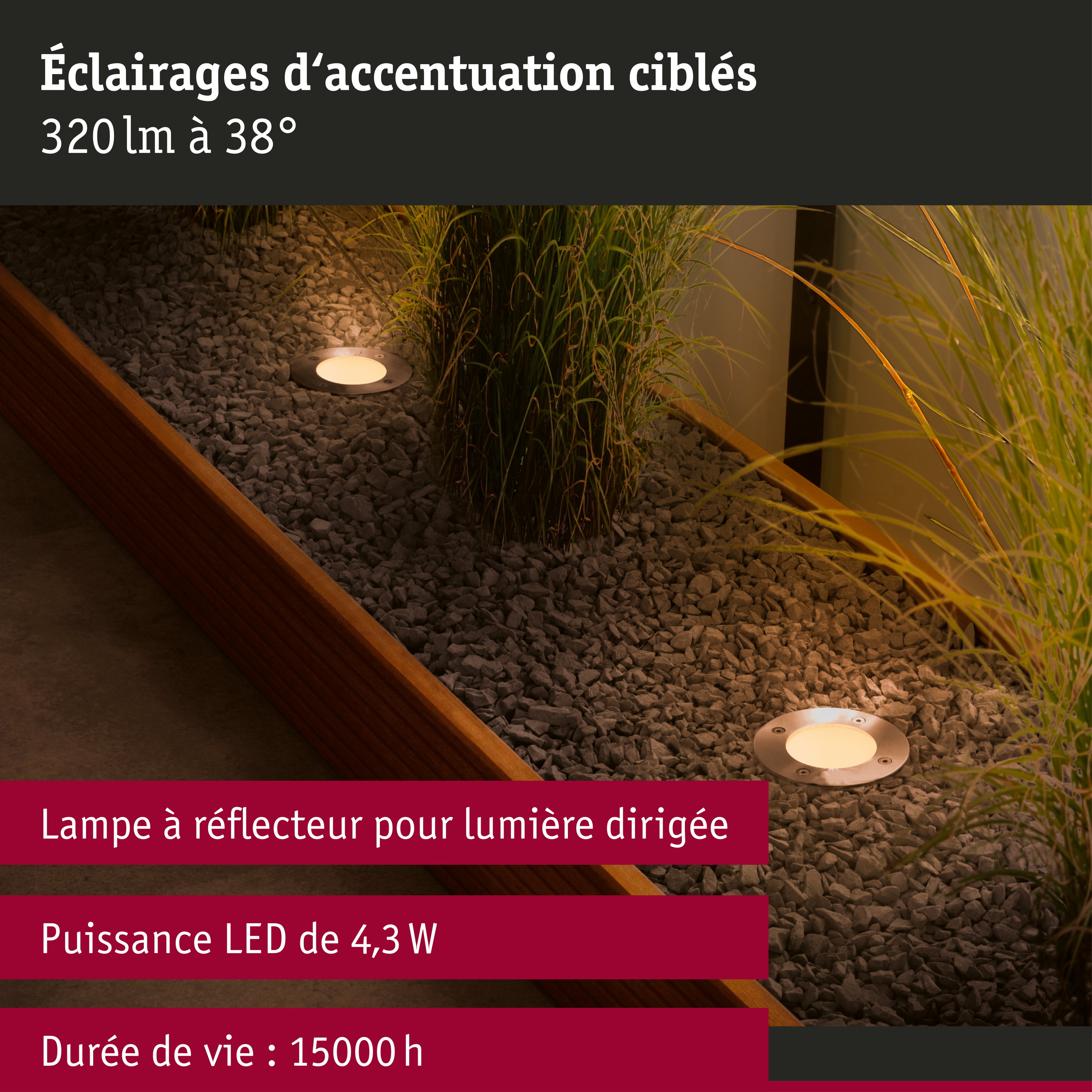 Standard 230 V Réflecteur LED GU10 favorable aux insectes 320lm 4,3W 2200K Argent