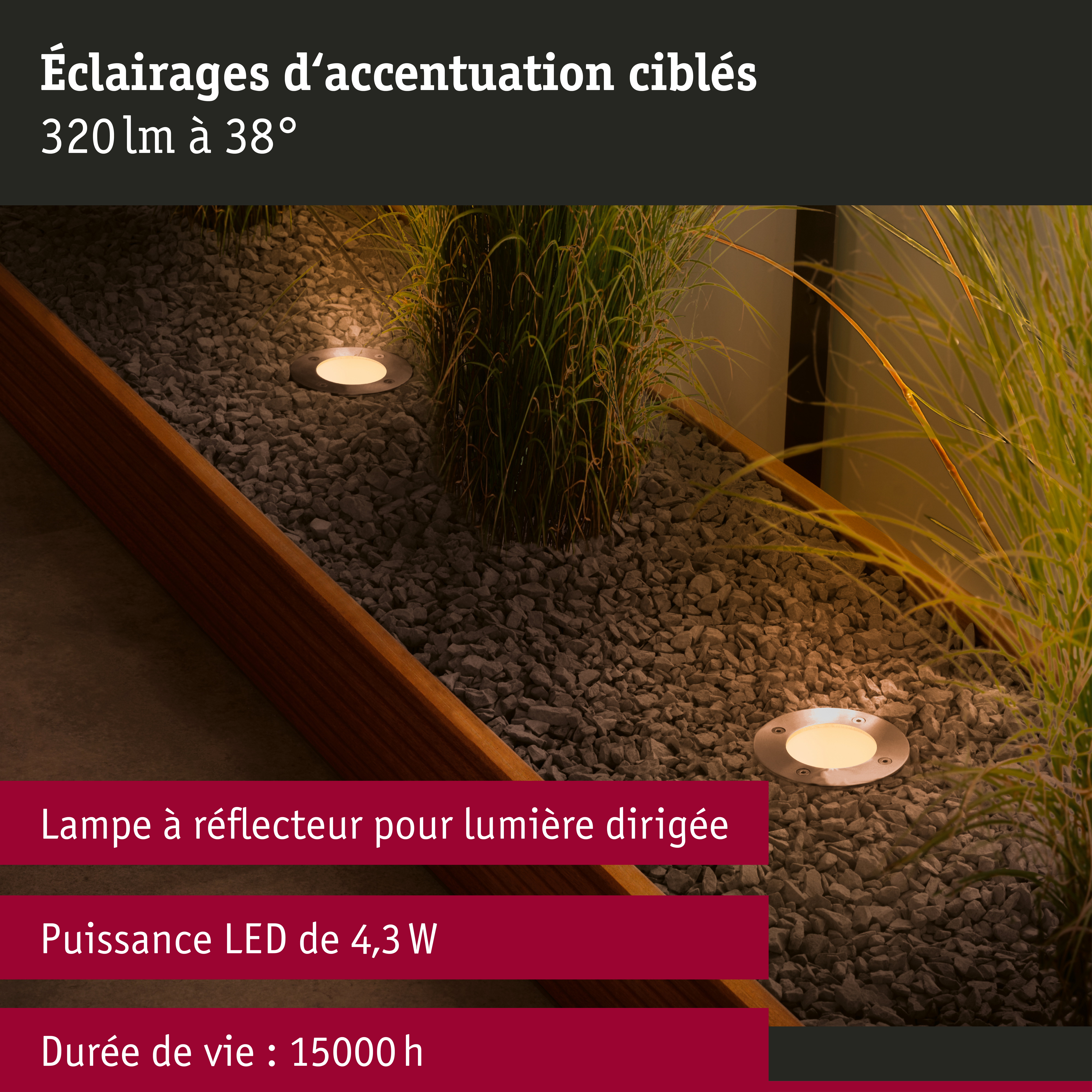 Standard 230 V Réflecteur LED GU10 favorable aux insectes 320lm 4,3W 2200K Argent