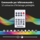 Télécommande blanche Paulmann avec 12 scénarios d’éclairage préréglés et contrôle des couleurs pour éclairage LED