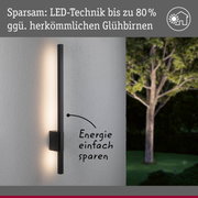 Schwarze LED-Wandleuchte an grauer Wand mit energiesparender Beleuchtung und Baum im Hintergrund