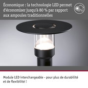 Lampe extérieure LED noire avec boîtier en verre et technologie économique pour un éclairage de jardin durable