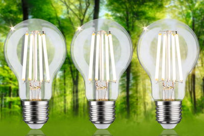 Drei LED-Glühbirnen mit klarem Glas und warmweißem Licht vor grünem Waldhintergrund für energiesparende Beleuchtung