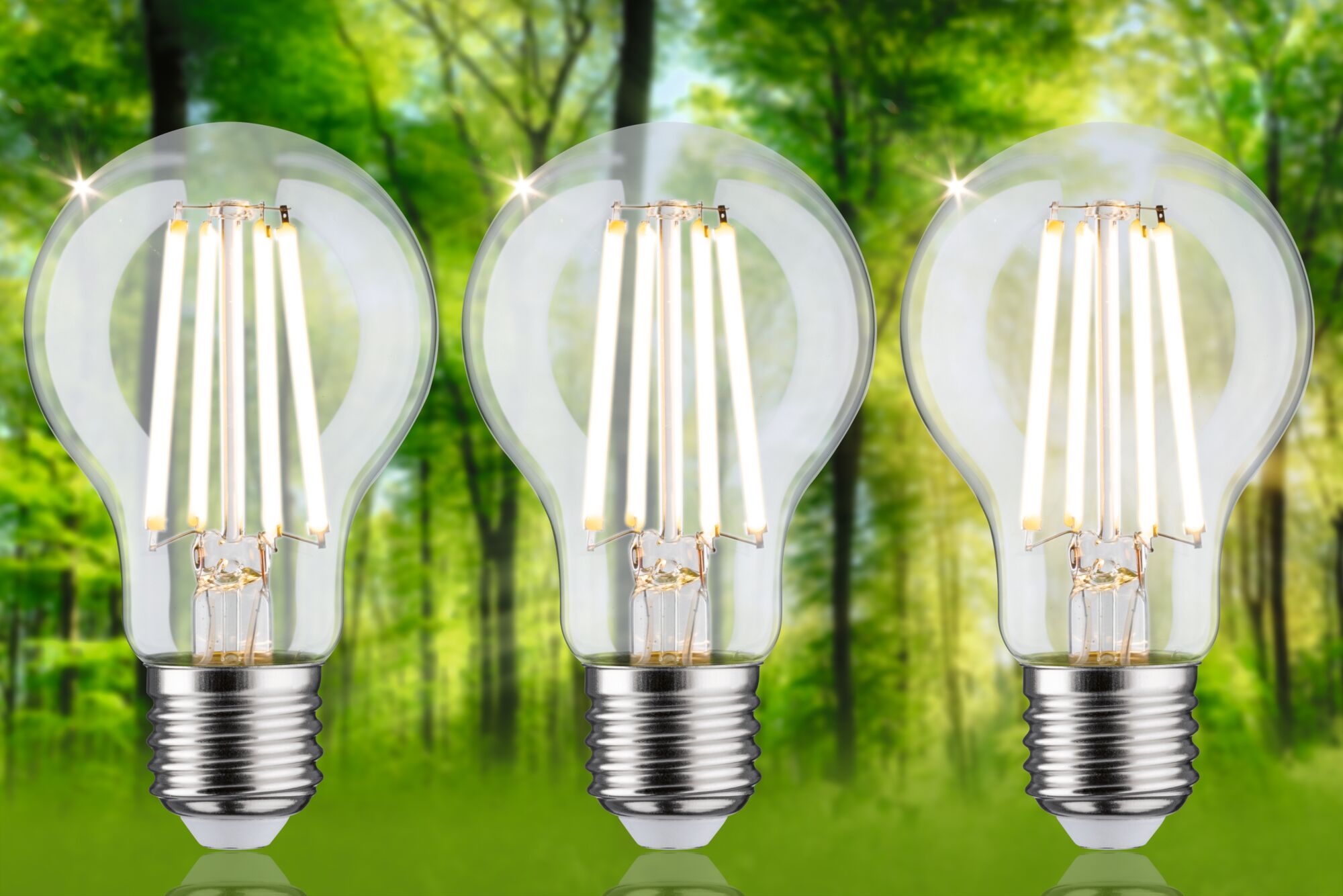 Three clear glass LED bulbs with warm white light in front of green forest background for energy-saving lighting
