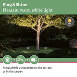 Warm white garden light with Plug & Shine system illuminating tree and lawn for atmospheric terrace.