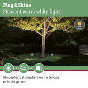 Garden tree lit by warm white Plug & Shine LED light for atmospheric outdoor lighting in garden