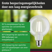 Energiezuinige LED-gloeilamp met helder glas en zilveren fitting voor milieuvriendelijke verlichting