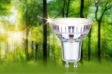 Clear GU10 LED bulb with energy-saving technology against green forest background