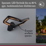 Schwarze LED-Außenwandleuchte mit energiesparender Technik und warmweißem Licht für Garten und Terrasse