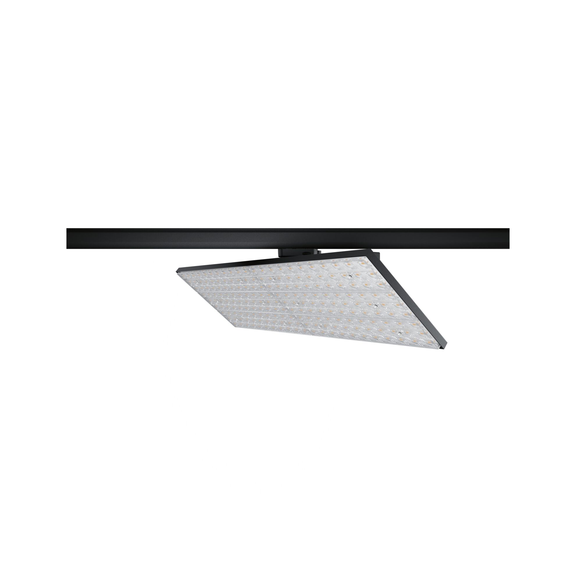 Schwarze LED-Deckenleuchte mit quadratischem Leuchtfeld und klarer Abdeckung für moderne Raumbeleuchtung