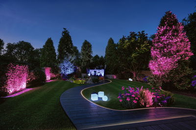 Allée de jardin éclairée par LED avec projecteurs colorés rose et bleu pour une ambiance extérieure