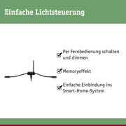 Schwarzes Smart-Home-Lichtsteuergerät mit Antenne und Erdspieß für einfache Fernbedienung und Dimmung